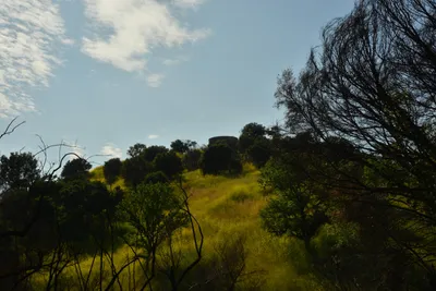 DSC_6454 (Large).JPG